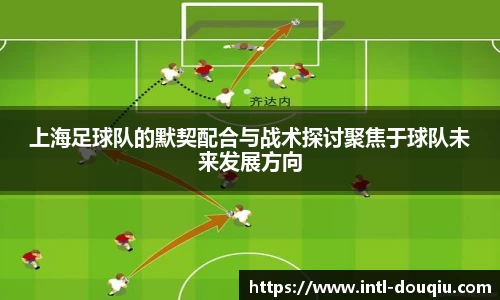 斗球体育APP